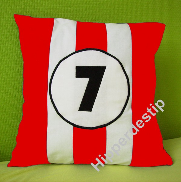 accessoireskussenquickrood